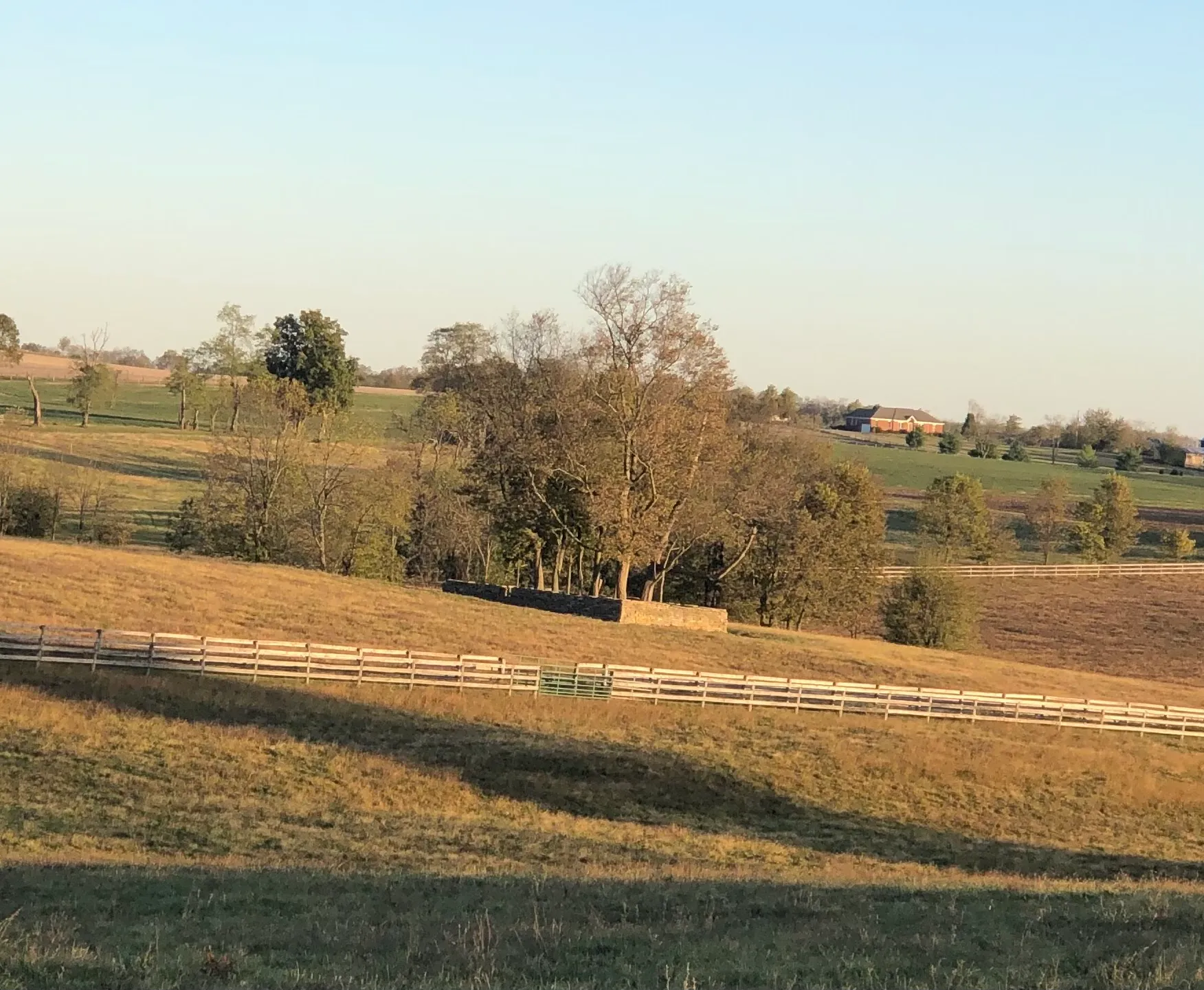 wall in Bourbon County, KY
