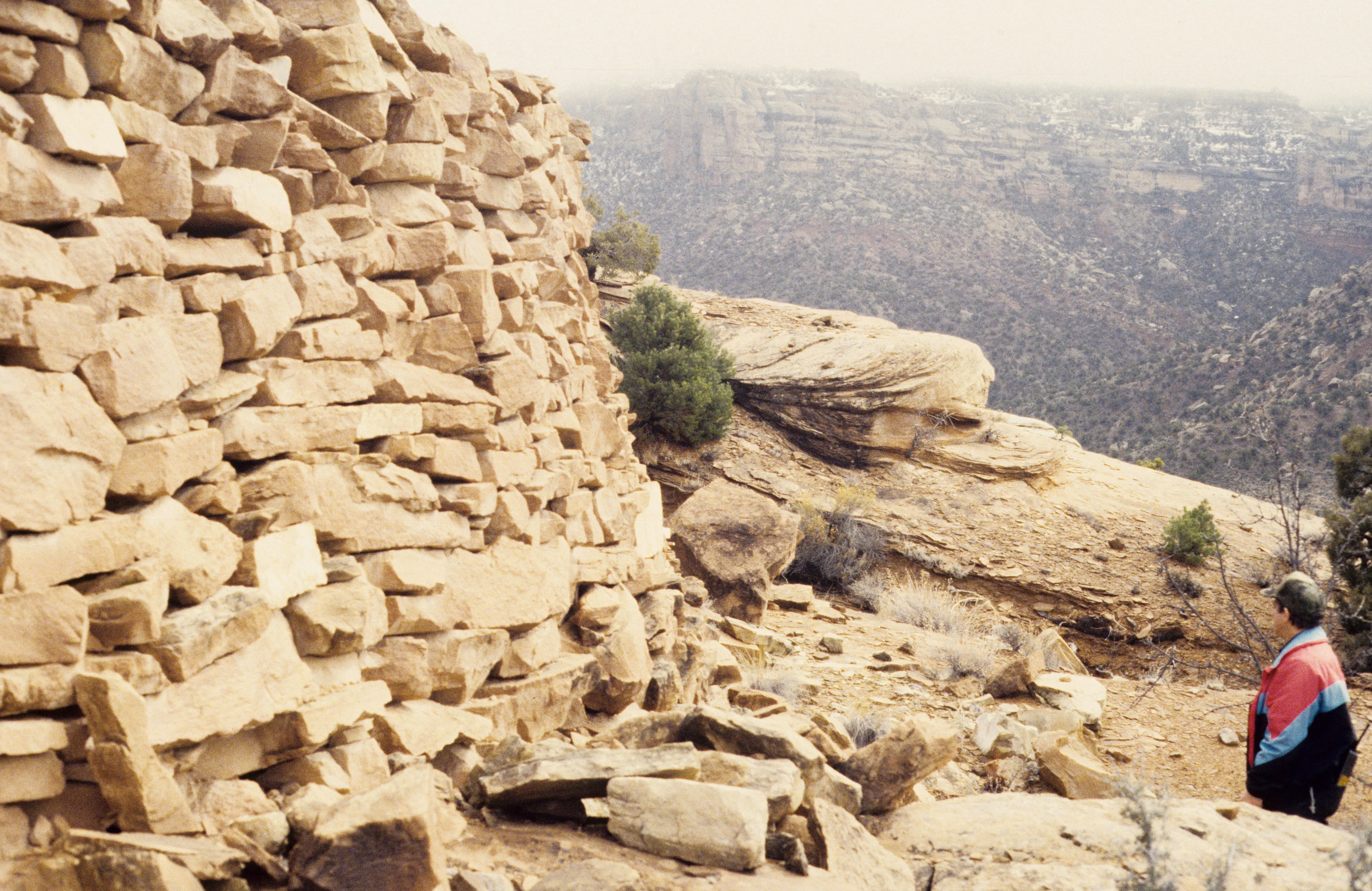 wall in Mesa County, CO